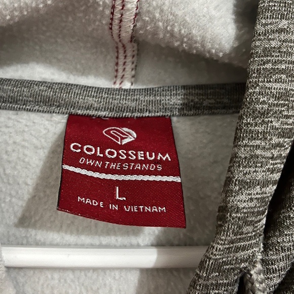 Colosseum Women’s Gray Multi “Florida State Seminoles” Pullover Hoodie Sz-L - Picture 3 of 5